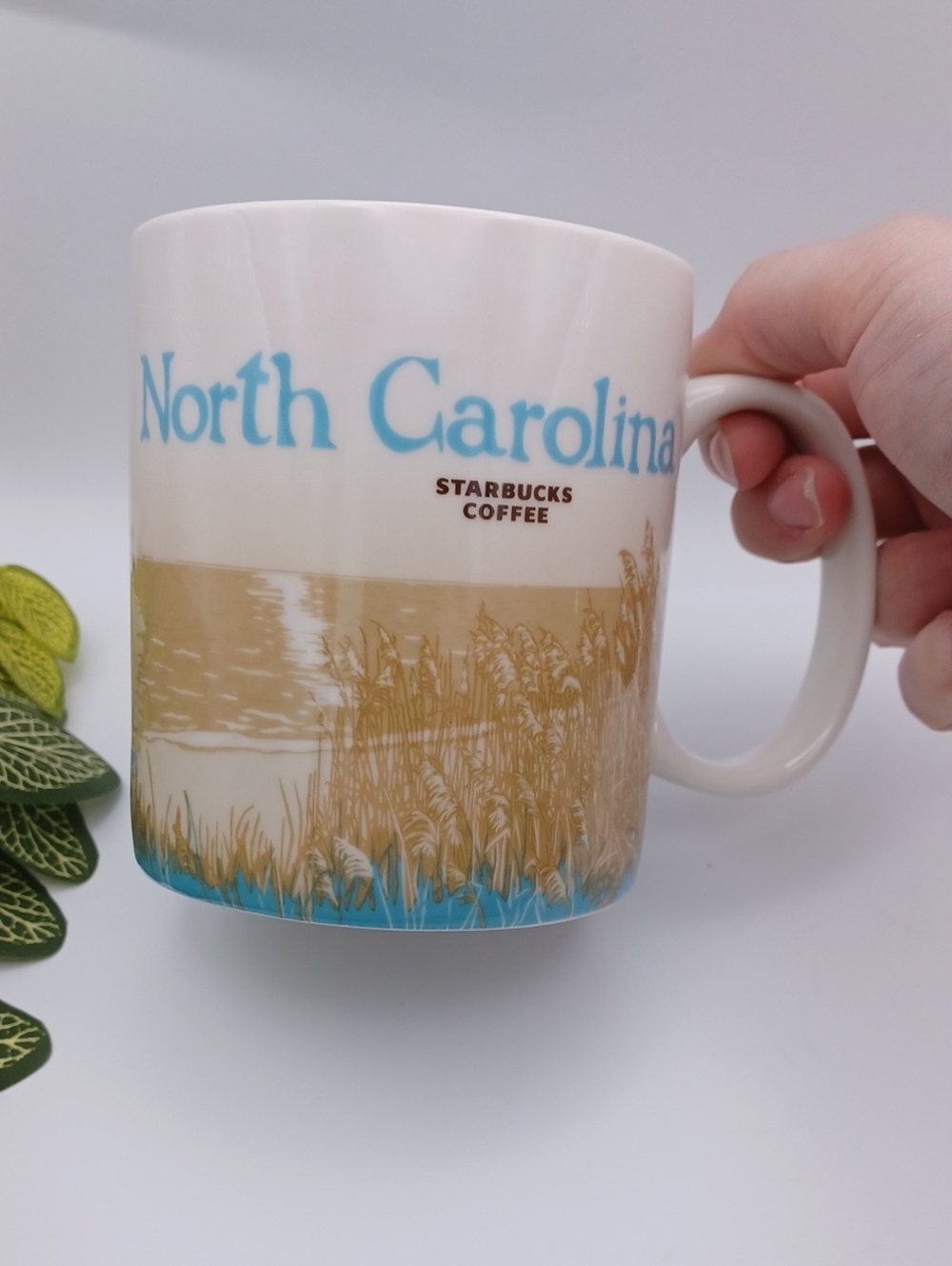 Starbucks North Carolina Mug